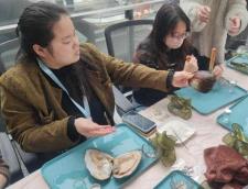 開蚌尋珠·首飾DIY制作中_物業(yè)服務